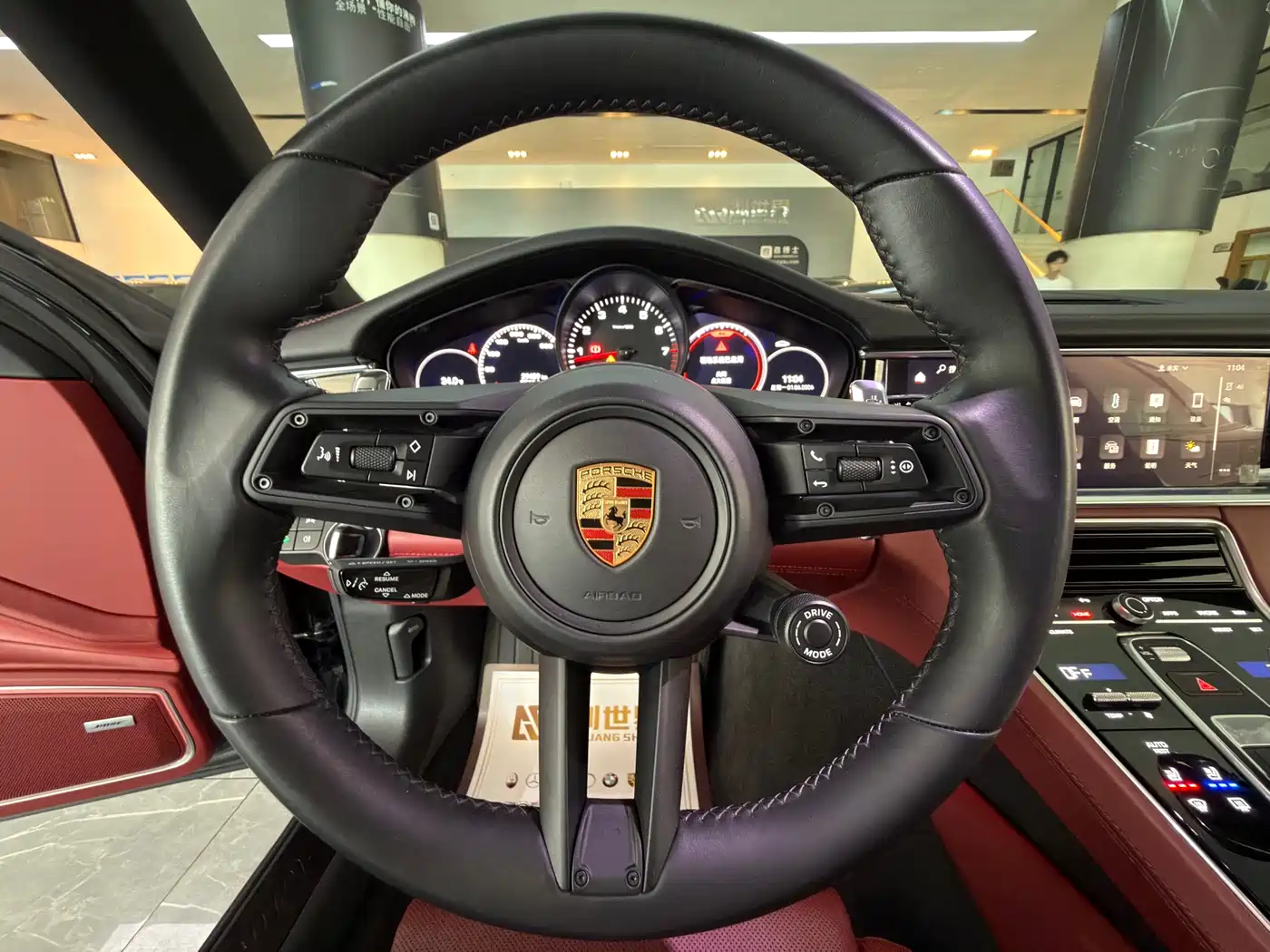 Porsche Panamera 2023 Panamera 2.9T Platinum Edition фото 18
