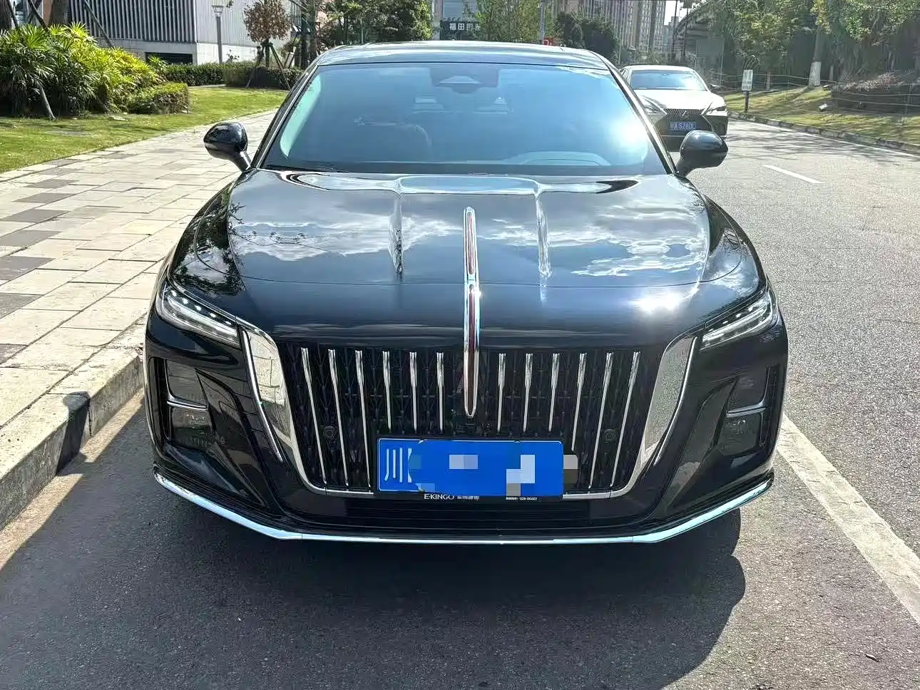 Фото 1 - Hongqi H5