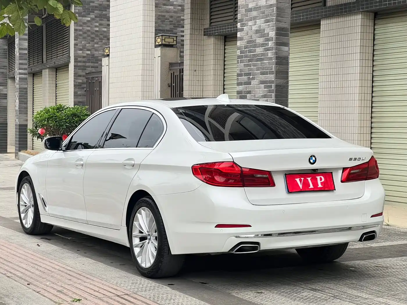BMW 5 Series 2019 530Li Leading Luxury Package фото 6