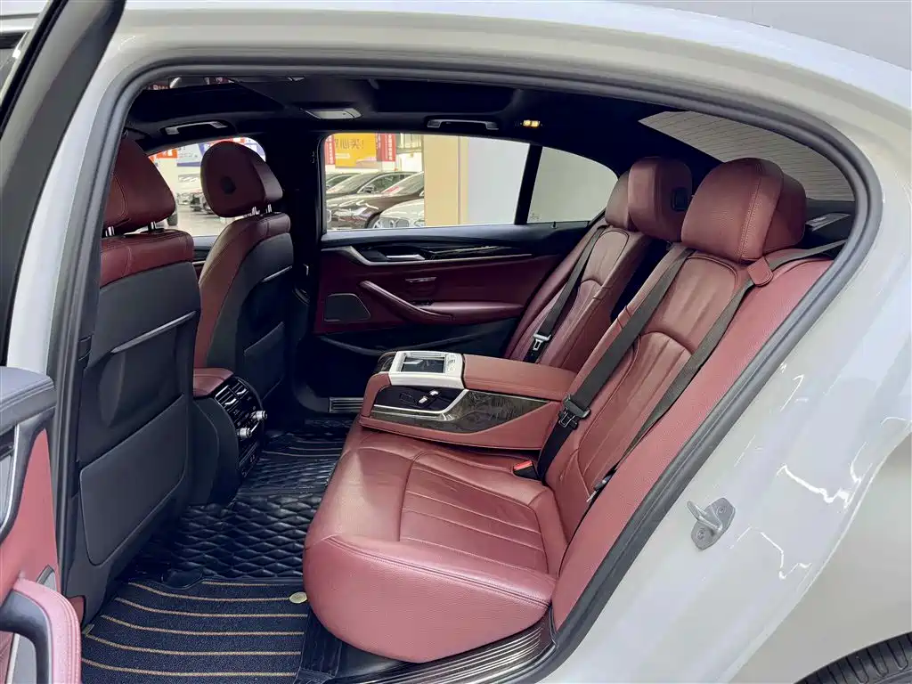 BMW 5 Series 2020 530Li Exclusive M Sport Package фото 13
