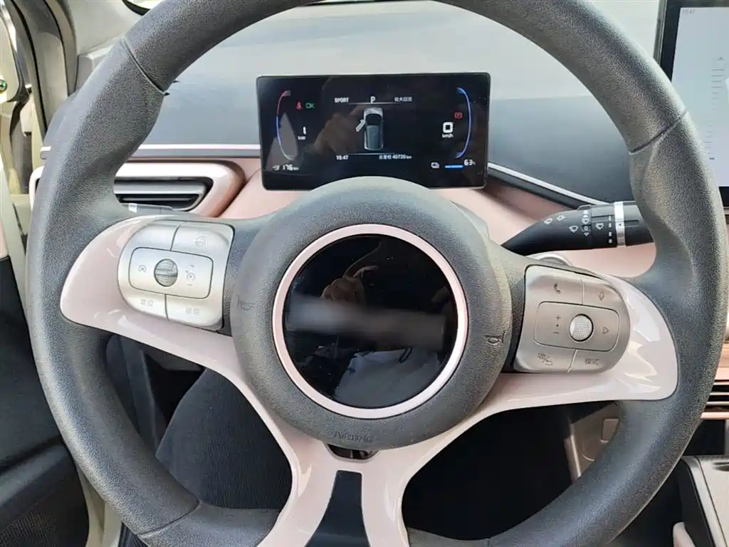 BYD Seagull 2024 Glory Edition 305km Vitality Edition фото 11