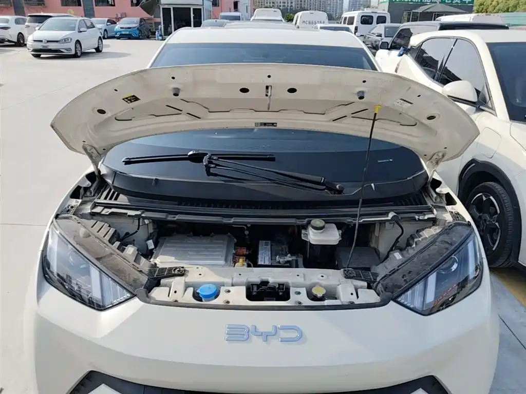 BYD Seagull 2024 Glory Edition 305km Vitality Edition фото 20
