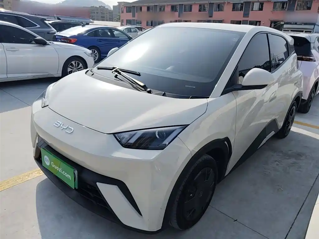BYD Seagull 2024 Glory Edition 305km Vitality Edition фото 2