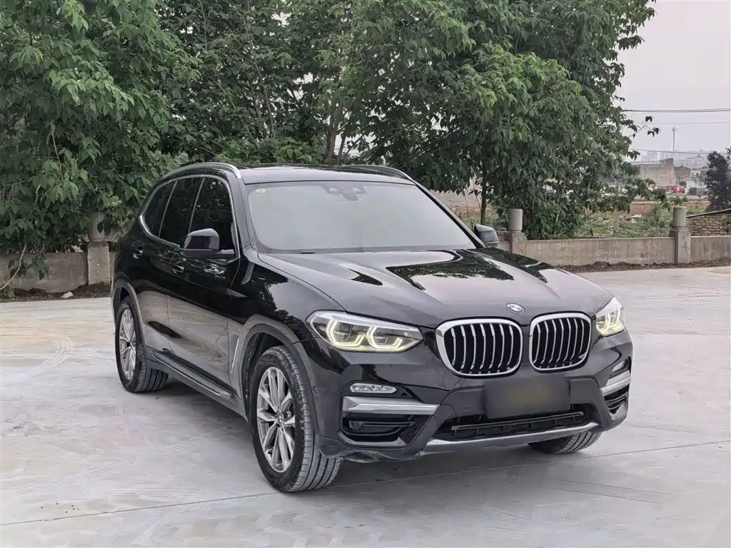 BMW X3 2018 xDrive25i Luxury Package China VI фото 6