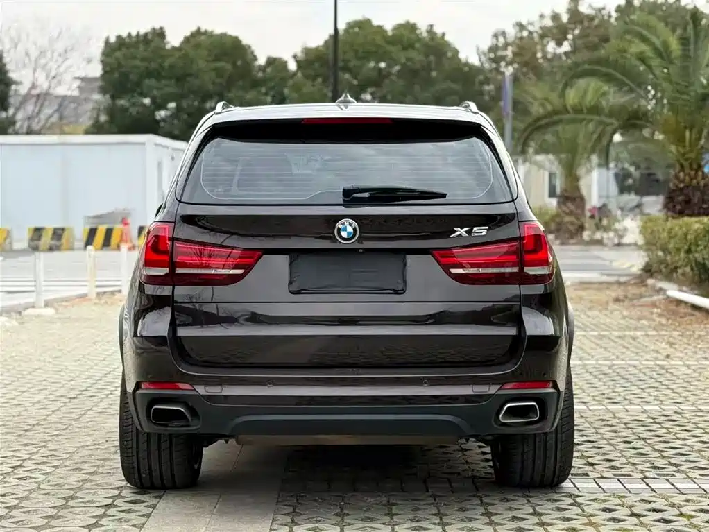 BMW X5 (Import) 2017 xDrive35i Elegance фото 5