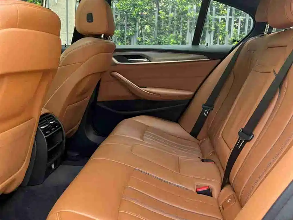 BMW 5 Series (Import) 2018 525i M Sport Package фото 8