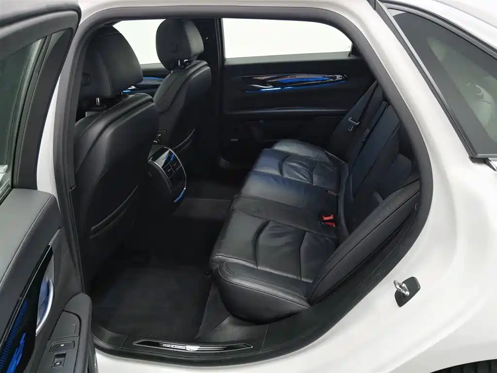 CADILLAC CT6 PLUG IN