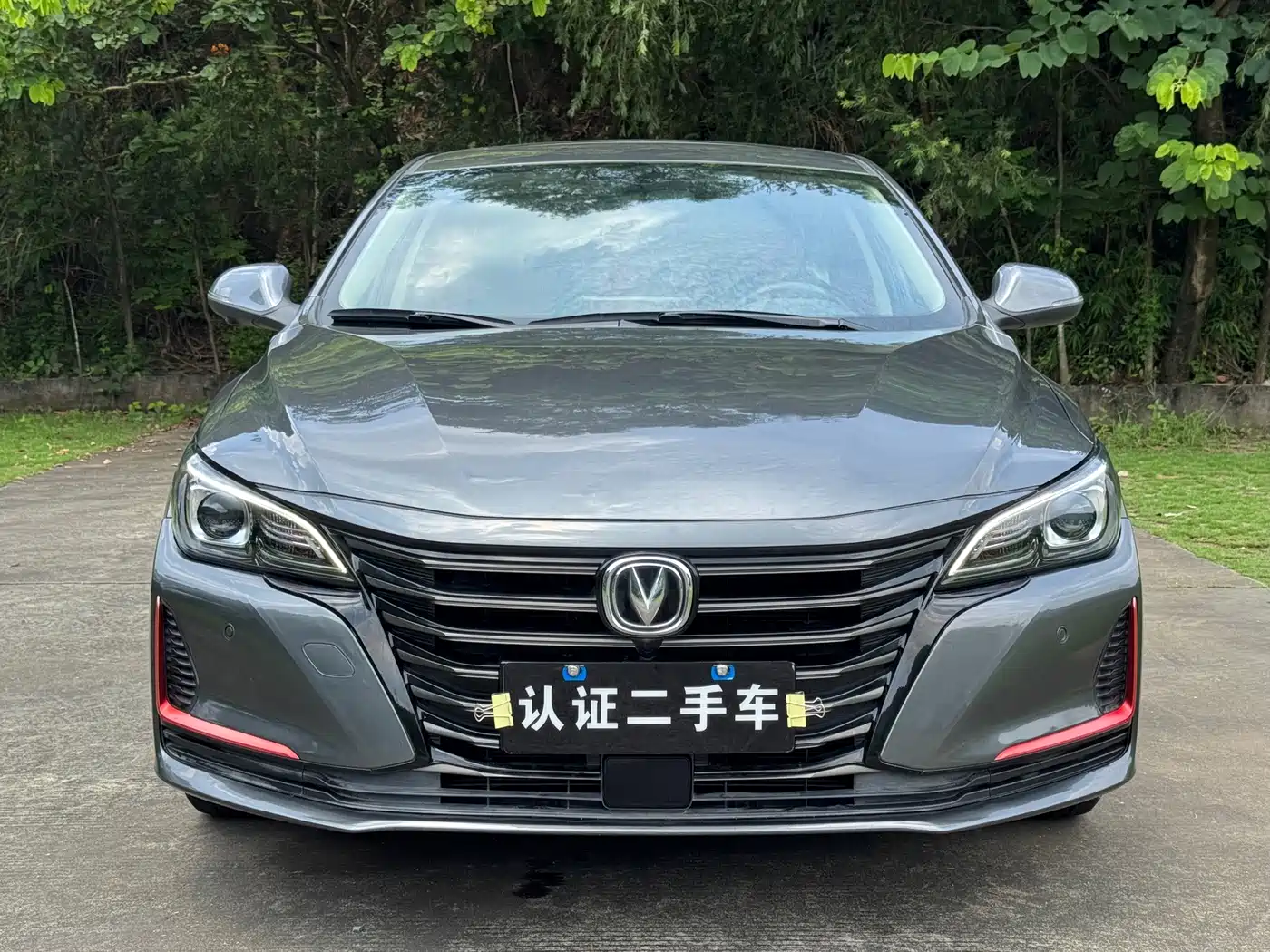 Changan Ruicheng CC 2021 2021 Blue Whale Edition 1.5T DCT Luxury