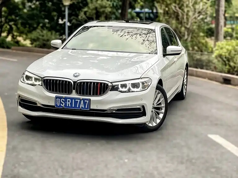 BMW 5 Series 2019 Facelift 525Li Luxury Package фото 29
