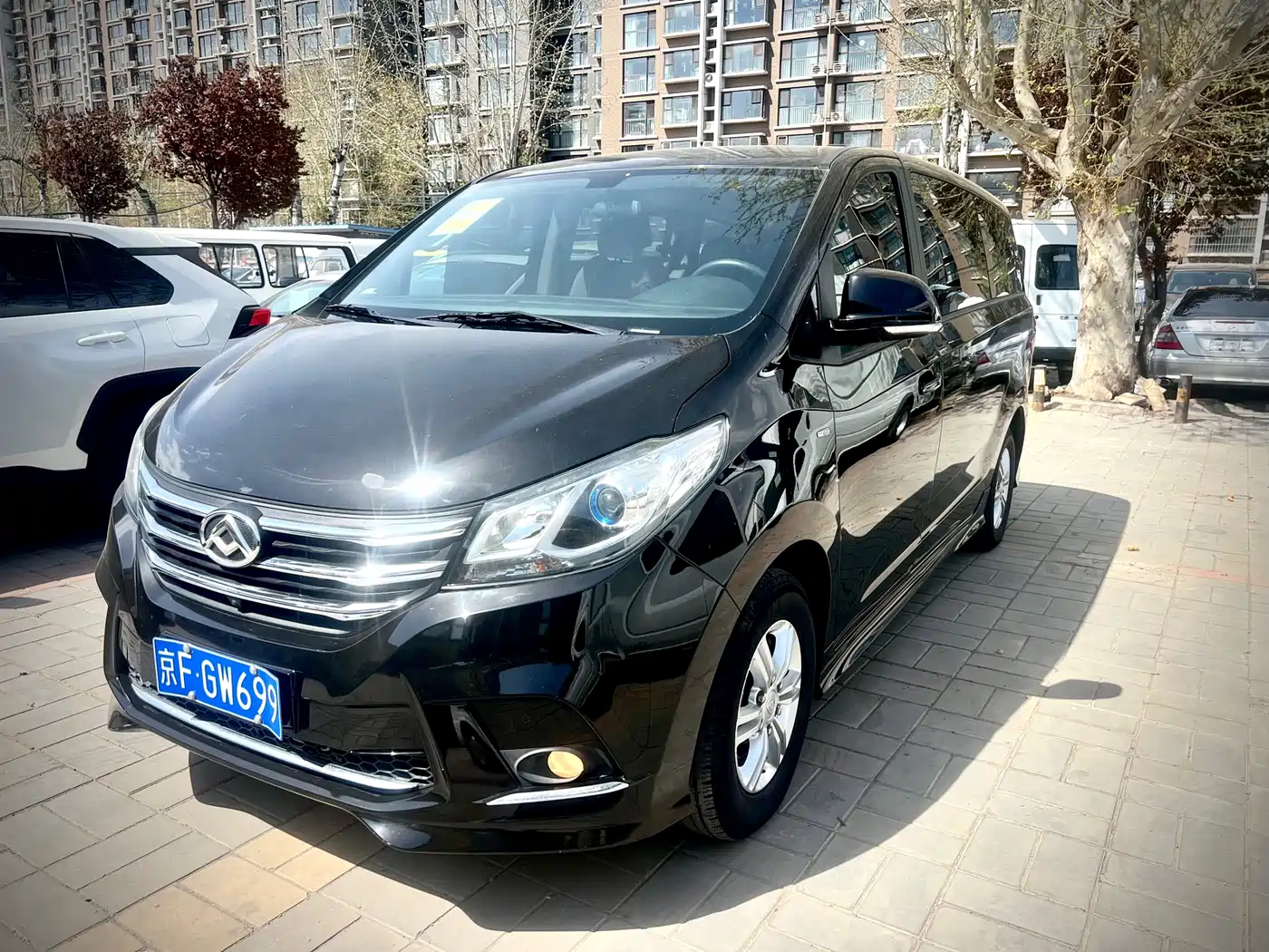 SAIC MAXUS CHASE G10