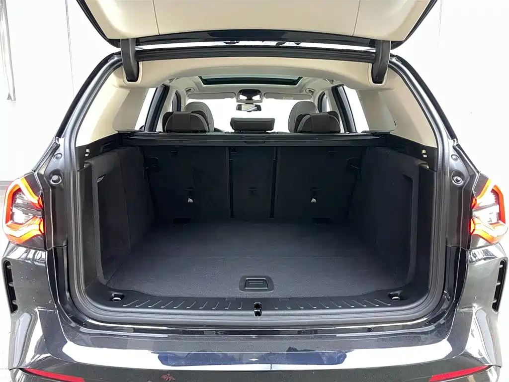 BMW X3 2022 xDrive30i Leading M Night Package фото 30
