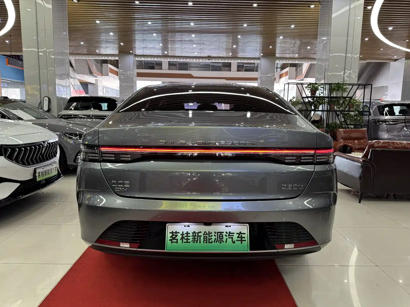 BYD Destroyer 05 2023 Champion Edition DM-i 55KM Luxury фото 4