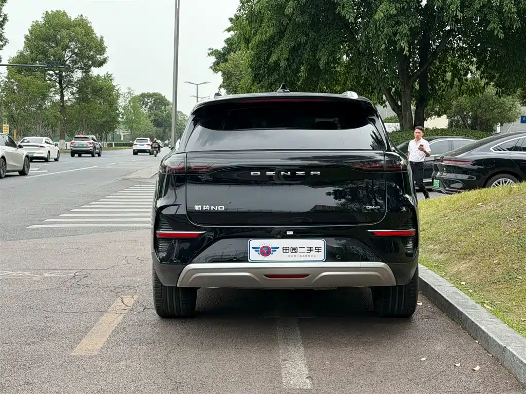 Denza N8 2023 Model AWD Super Hybrid Flagship 7-Seater фото 5