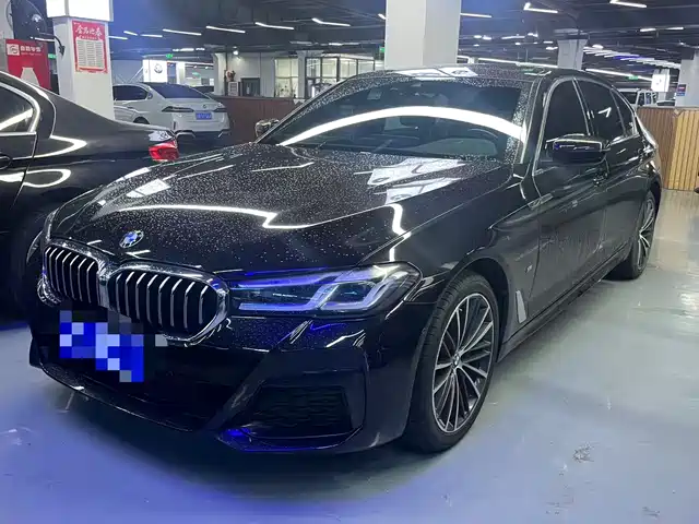 BMW 5 SERIES