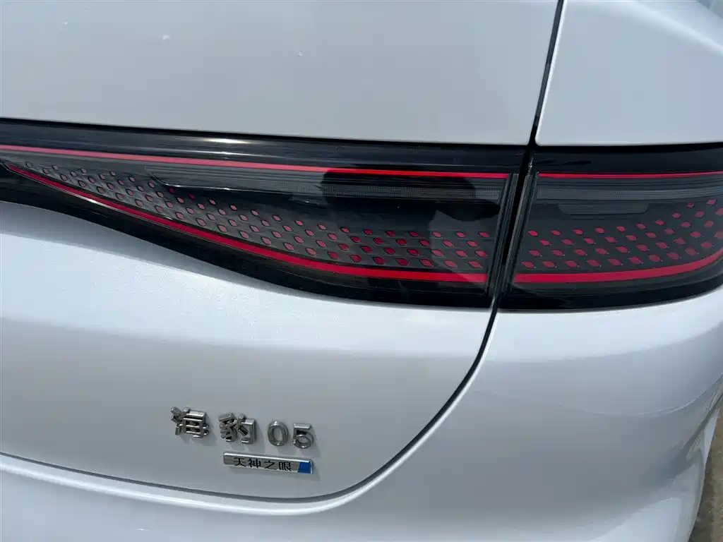 BYD Hai Bao 05 DM-i 2025 DM-i Smart Driving Edition 120KM Flagship фото 20