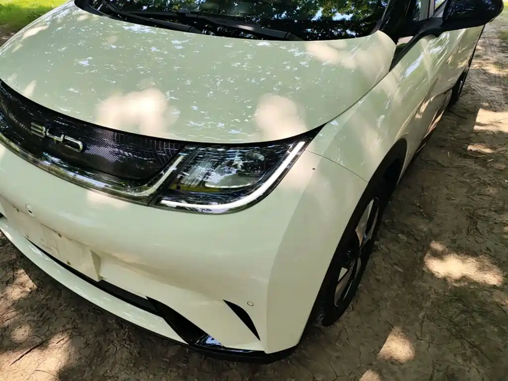 BYD Dolphin 2023 420km Fashion Edition фото 24