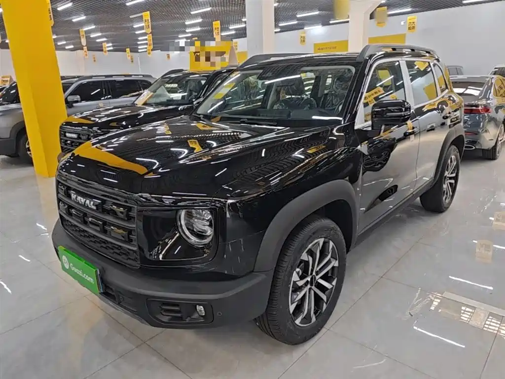 Haval Big Dog 2026 Model 1.5T High Configuration фото 2