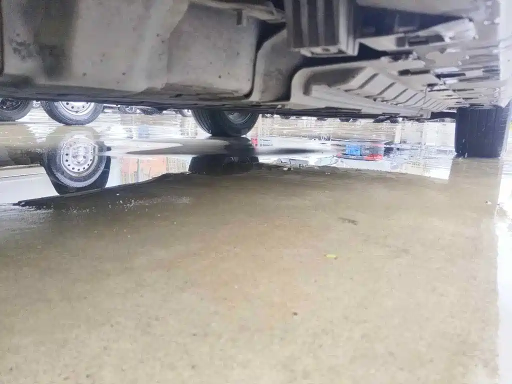 Weltmeister EX5 2020 2019 EX5 Mate Power Alliance Edition 400