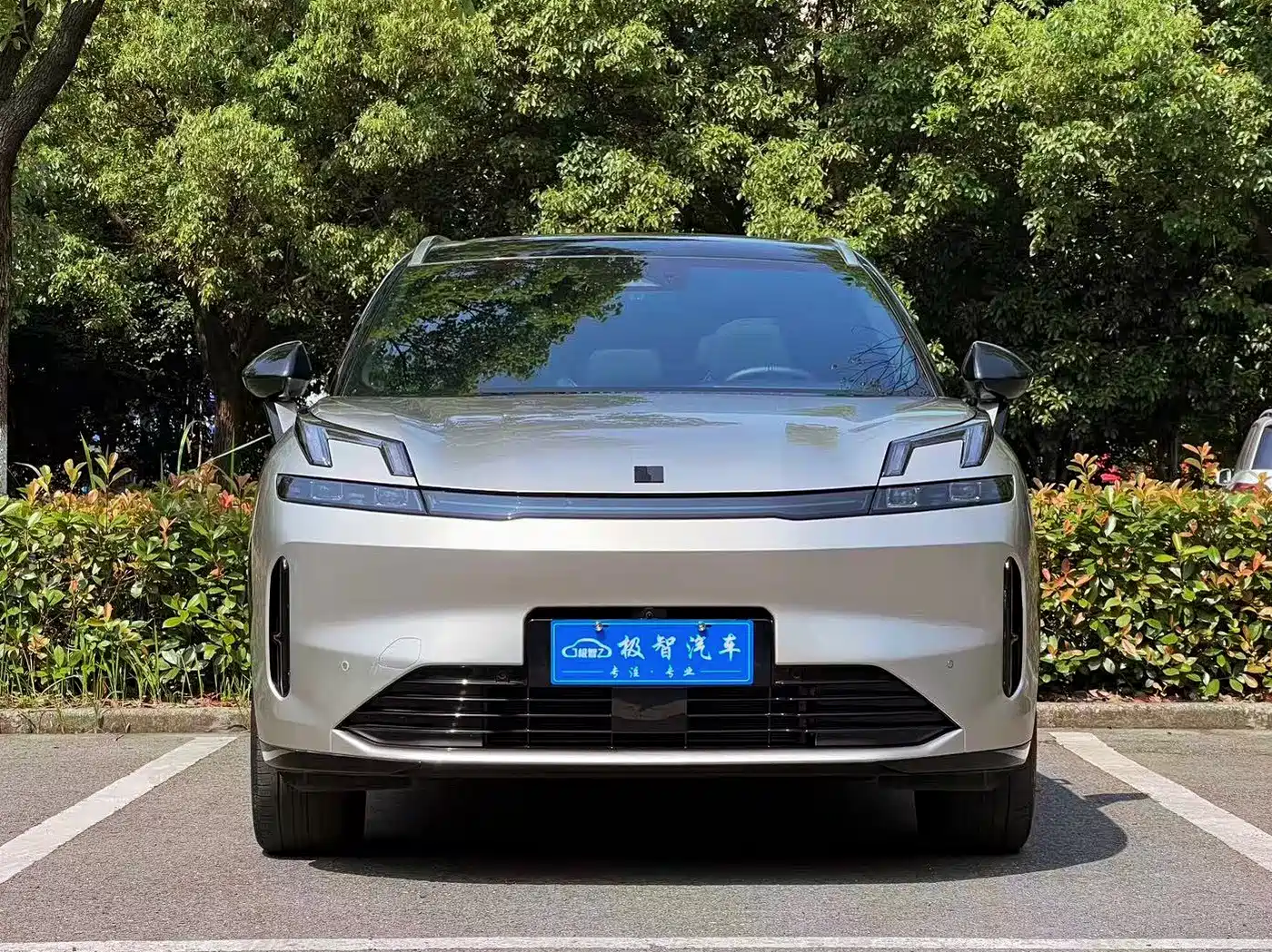 Lynk & Co 08 EM-P 2023 120km Long Range Pro фото 2