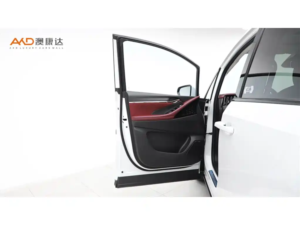 GAC Trumpchi Trumpchi E9 2023 E9 MAX фото 11