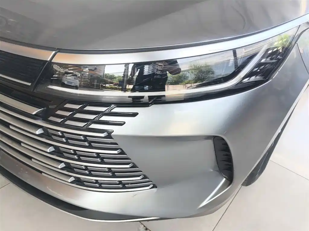 BYD Destroyer 05 2023 Champion Edition DM-i 55KM Luxury фото 24