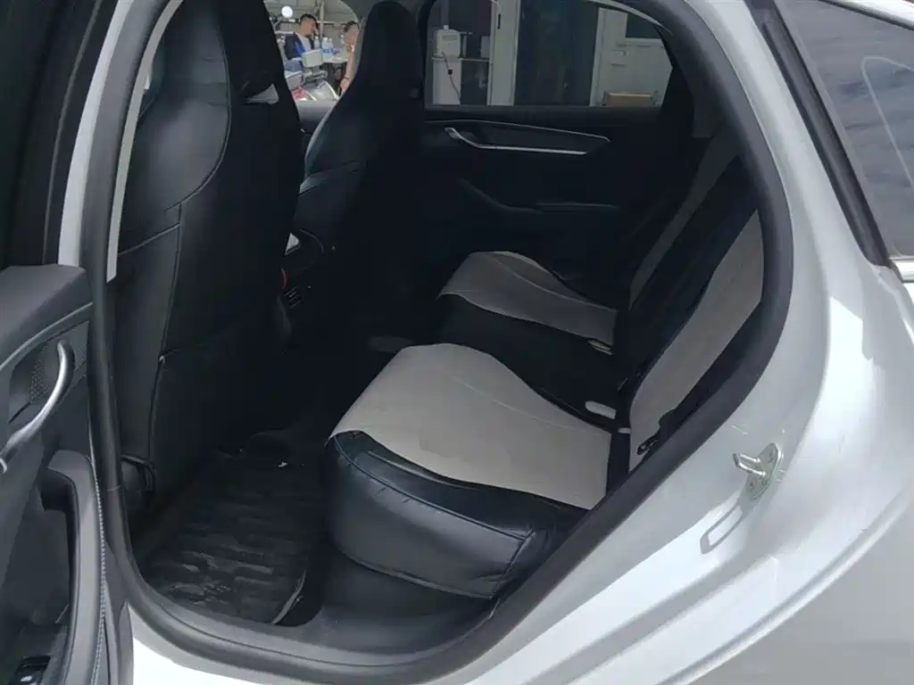 BYD Destroyer 05 2024 Glory Edition DM-i 55KM Luxury фото 17