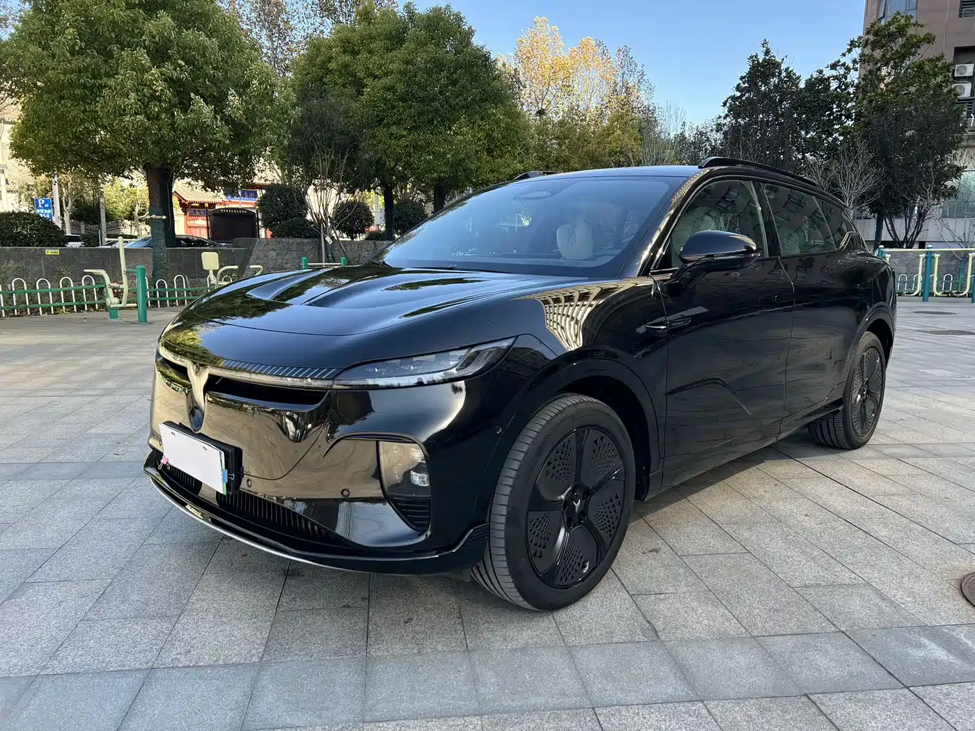 Voyah Auto Voyah Zhiyin 2024 Long Range Smart Edition