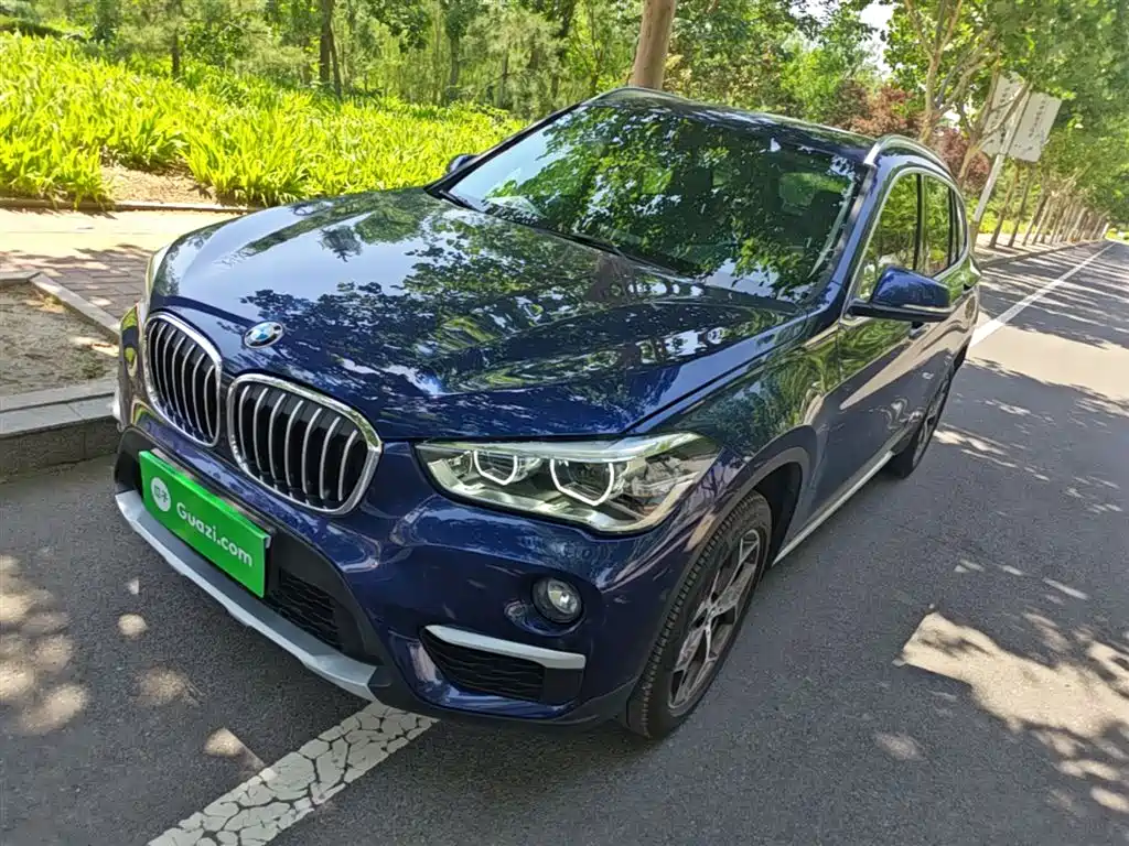 BMW X1 2019 xDrive20Li Premium Model фото 2