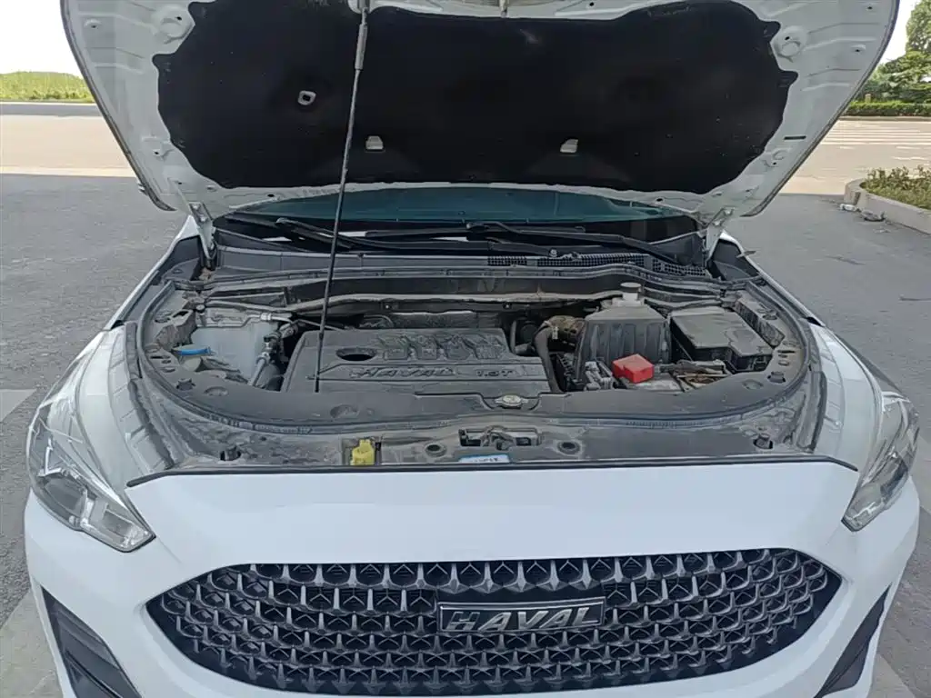 Haval M6 2019 1.5T DCT 2WD Value Edition (China VI) фото 20