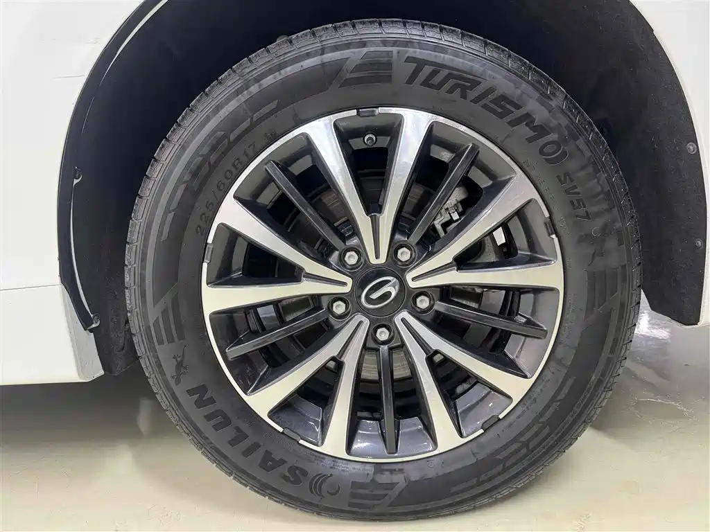 GAC Trumpchi Trumpchi M8 2021 Leading Show Series 390T Premium Edition фото 7