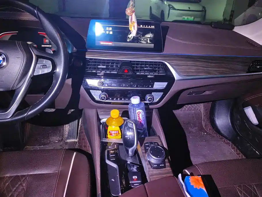 BMW 5 Series 2020 530Li Leading M Sport Package фото 13