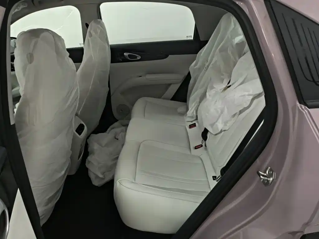 Geely Galaxy Starry Wish 2026 2026 Model 310km Dream Edition