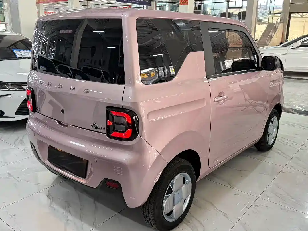 Geely Galaxy Panda 2024 Panda mini 200km Endurance Bear фото 2