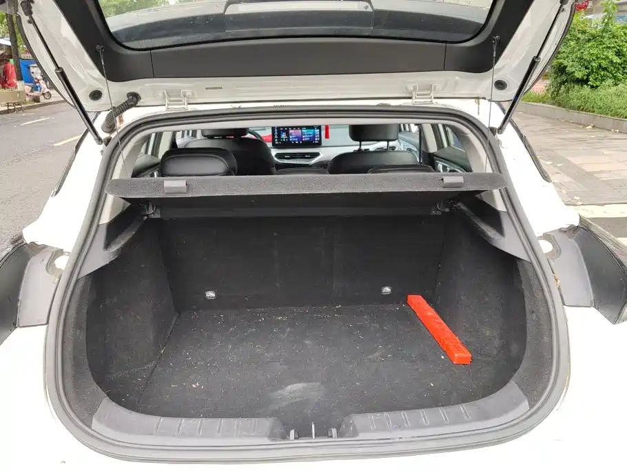 Geely Geometry C 2020 2020 Model Premium Range Edition 550KM C++