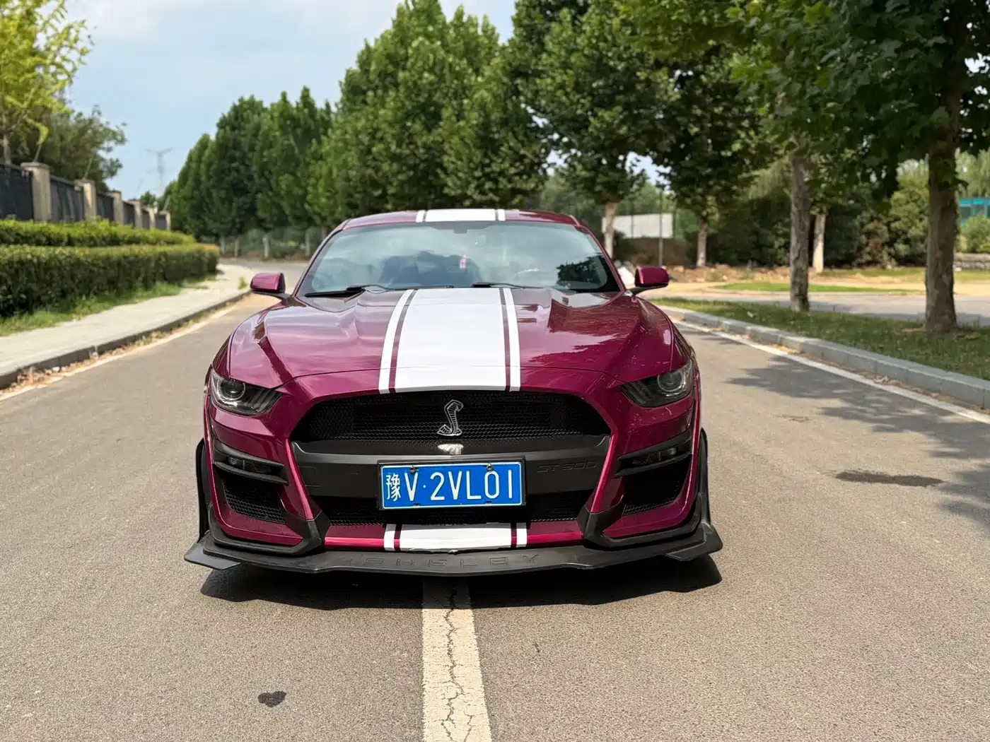 Ford Mustang 2016 2016 2.3T Performance Edition
