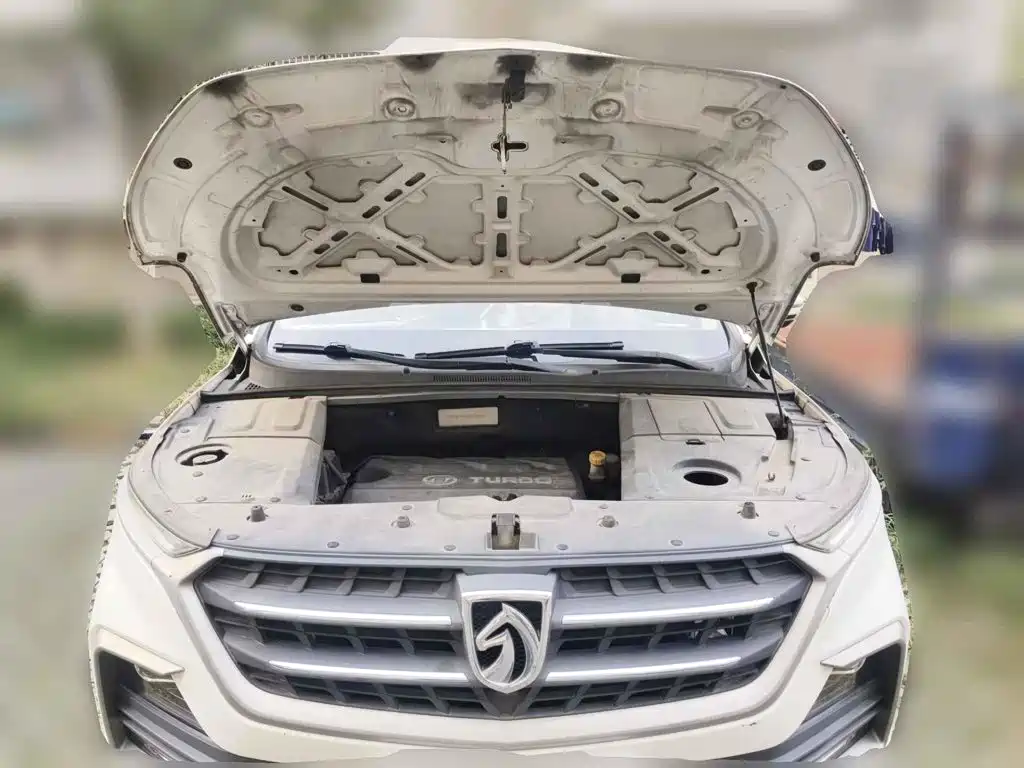Baojun 530 2019 2019 1.5T Manual Elite (7-seater) China V