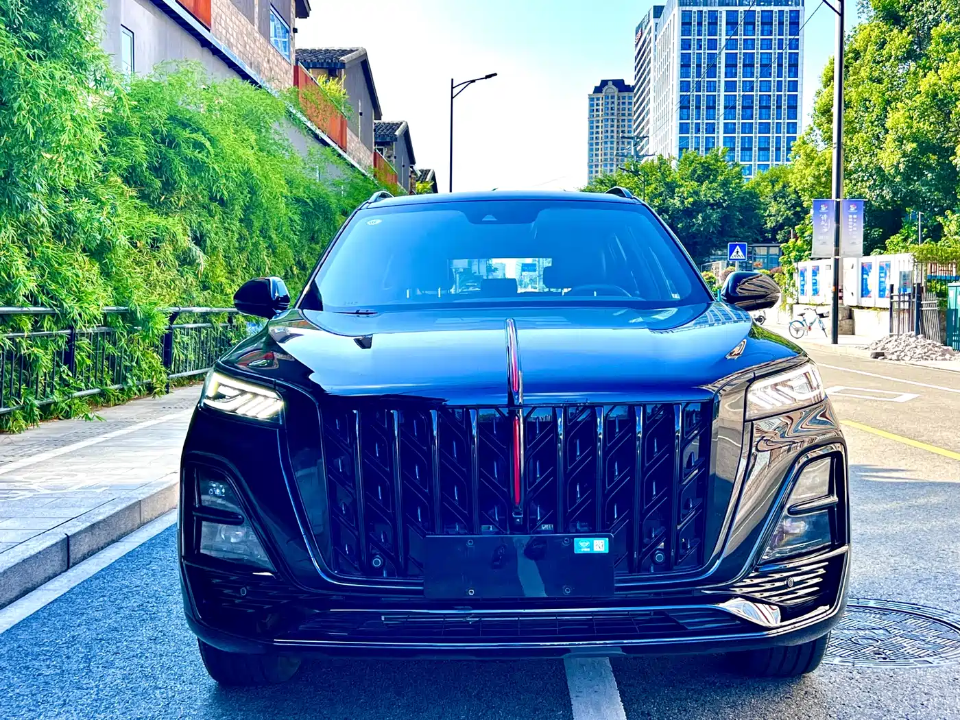Фото 4 - Hongqi HS5