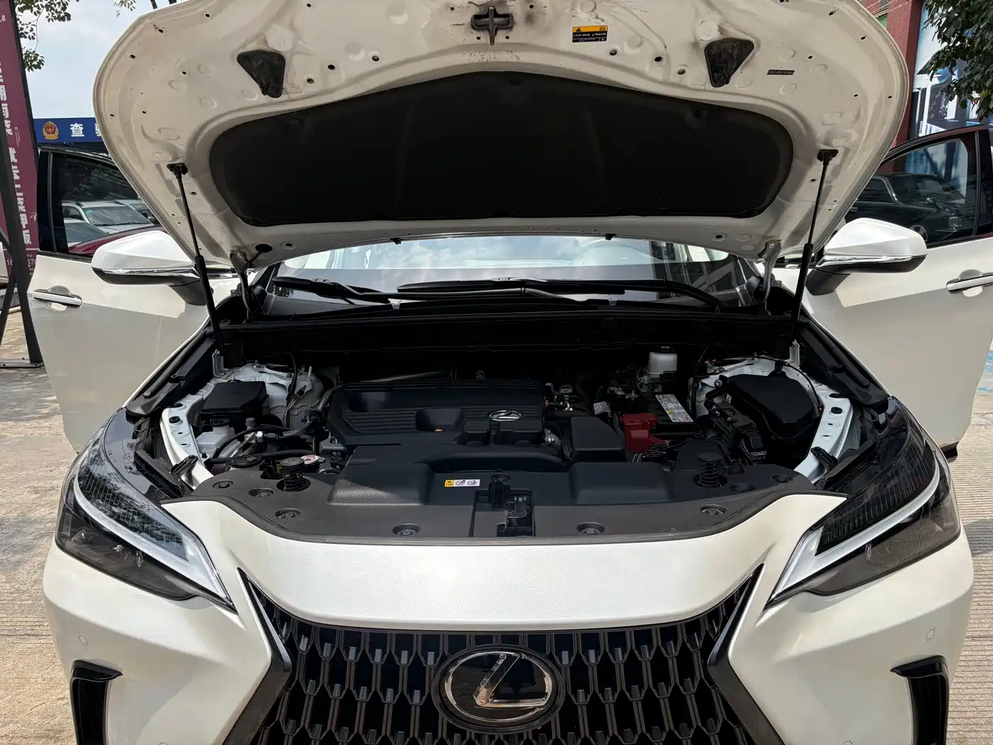 Lexus NX 2022 260 FWD Joy Creation Edition фото 19