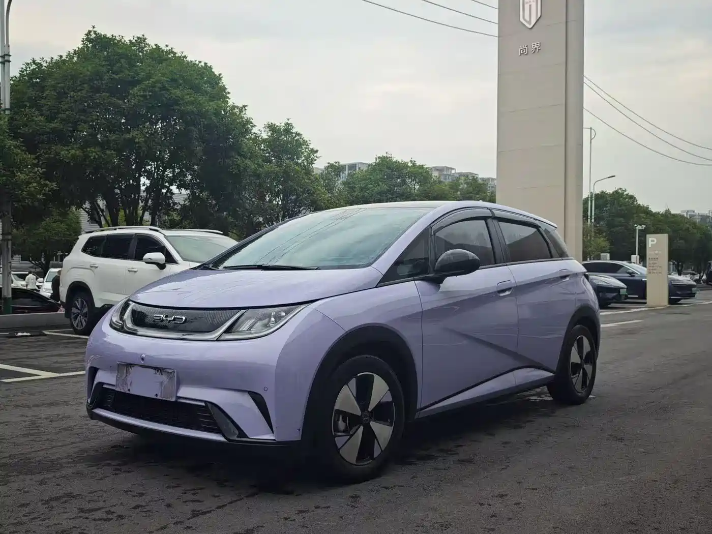 BYD Dolphin 2023 420km Fashion Edition
