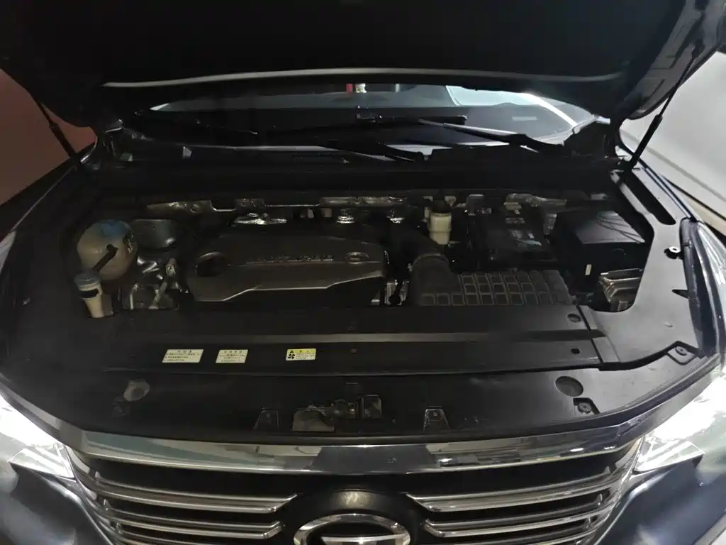 Фото 11 - GAC Trumpchi GS8