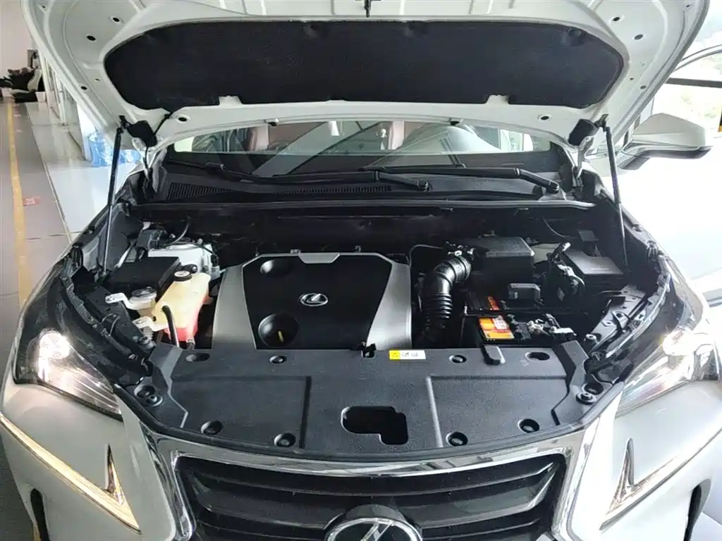 Lexus NX 2015 200 FWD Premium фото 20