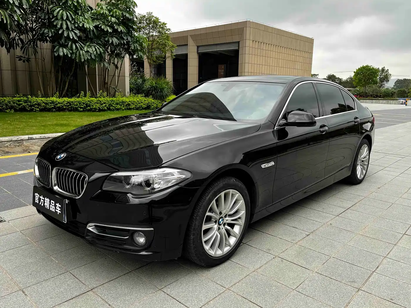 BMW 5 Series 2014 525Li Luxury Design Package фото 2