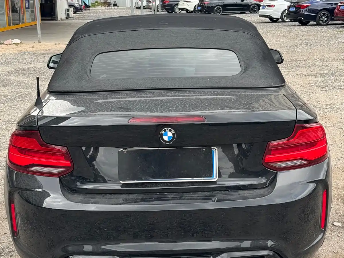 BMW 2 Series (Import) 2019 225i Convertible Coupe Exclusive M Sport Package фото 4