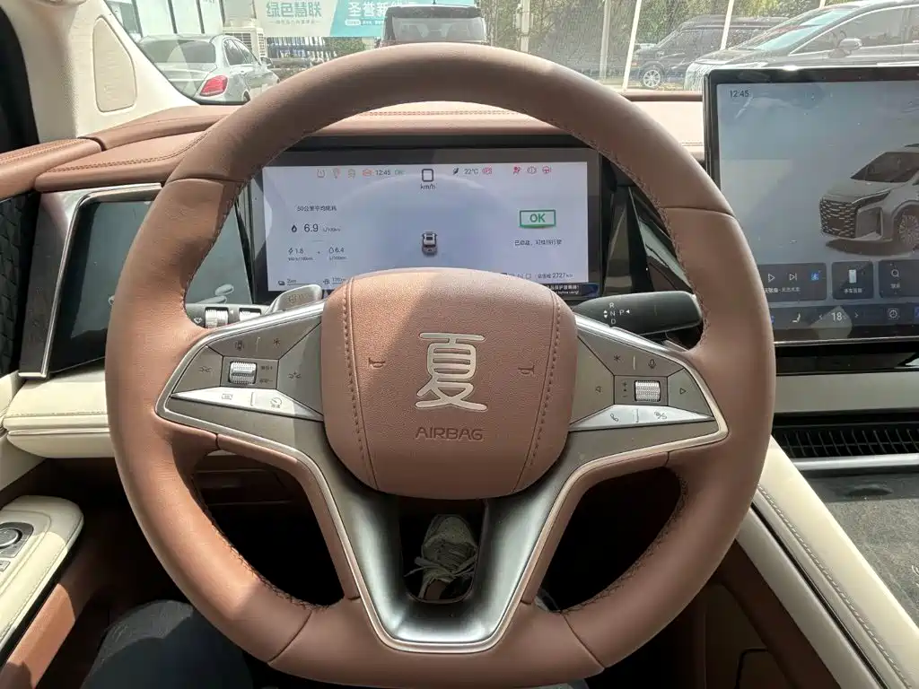 Фото 9 - BYD Xia
