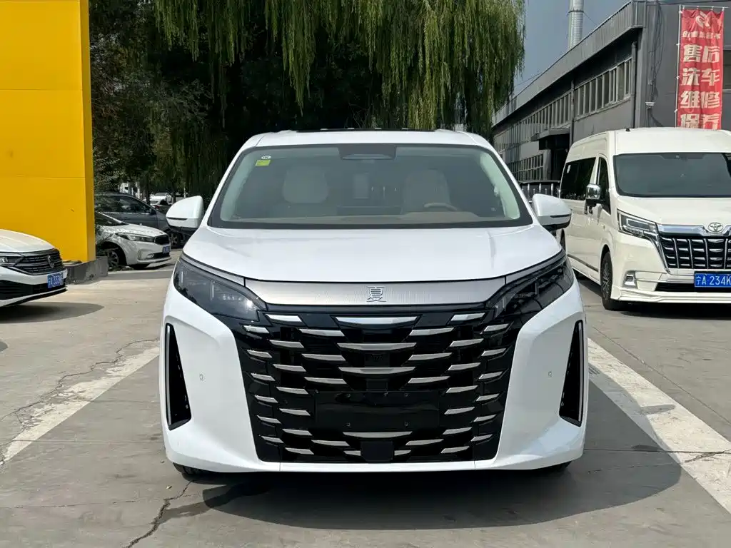 Фото 2 - BYD Xia