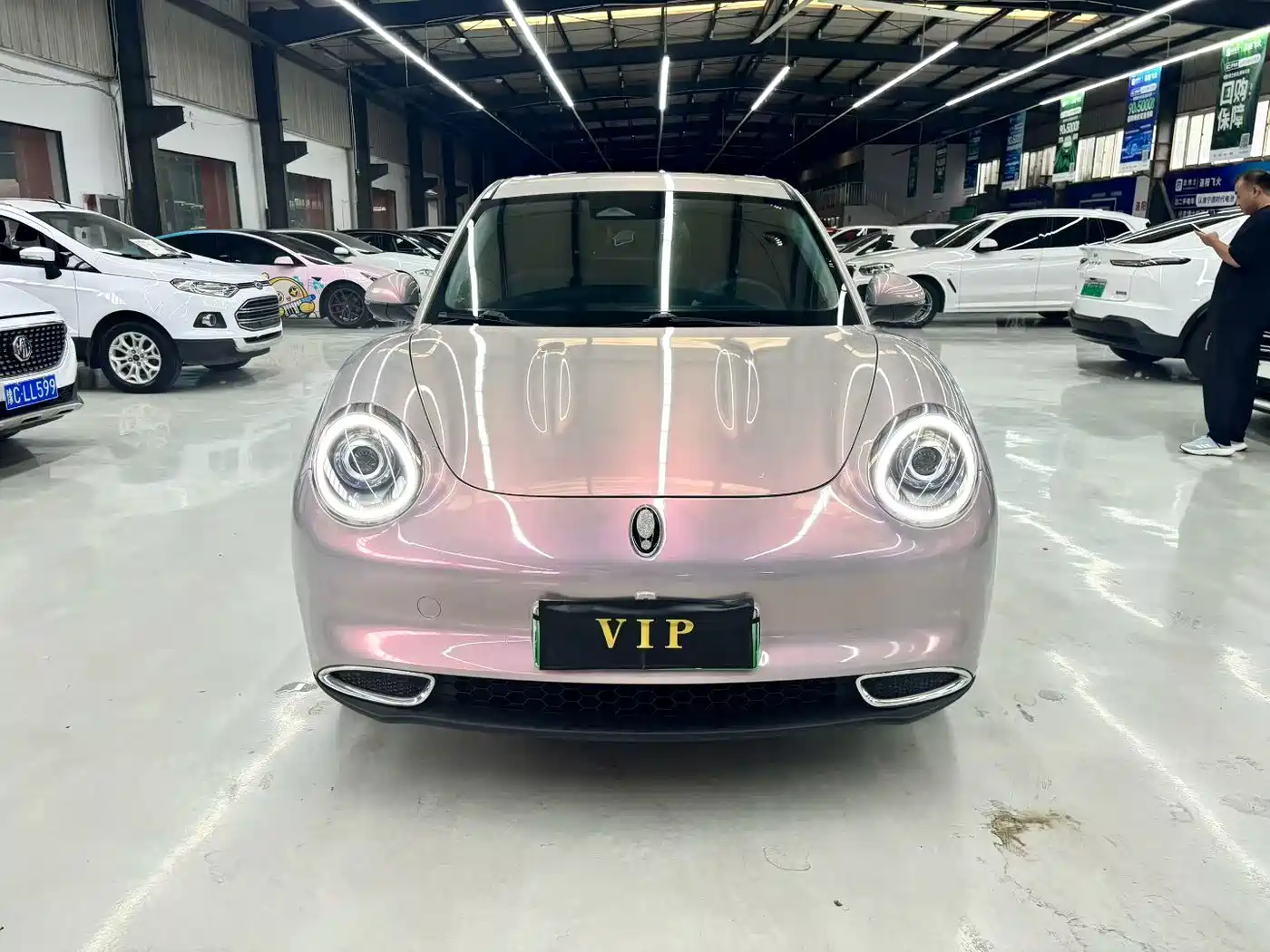 Ora Good Cat 2021 2021 400km Standard Range Venus Edition (NCM)