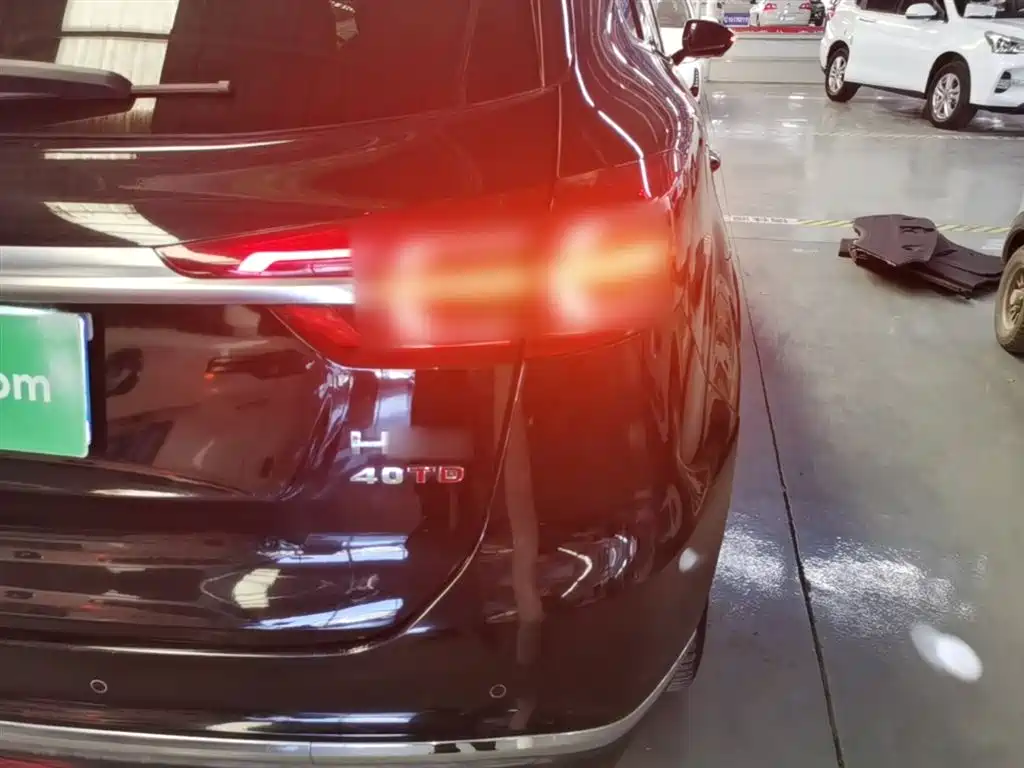 Hongqi HS5 2022 2.0T Smart Connect 4WD Flagship фото 8