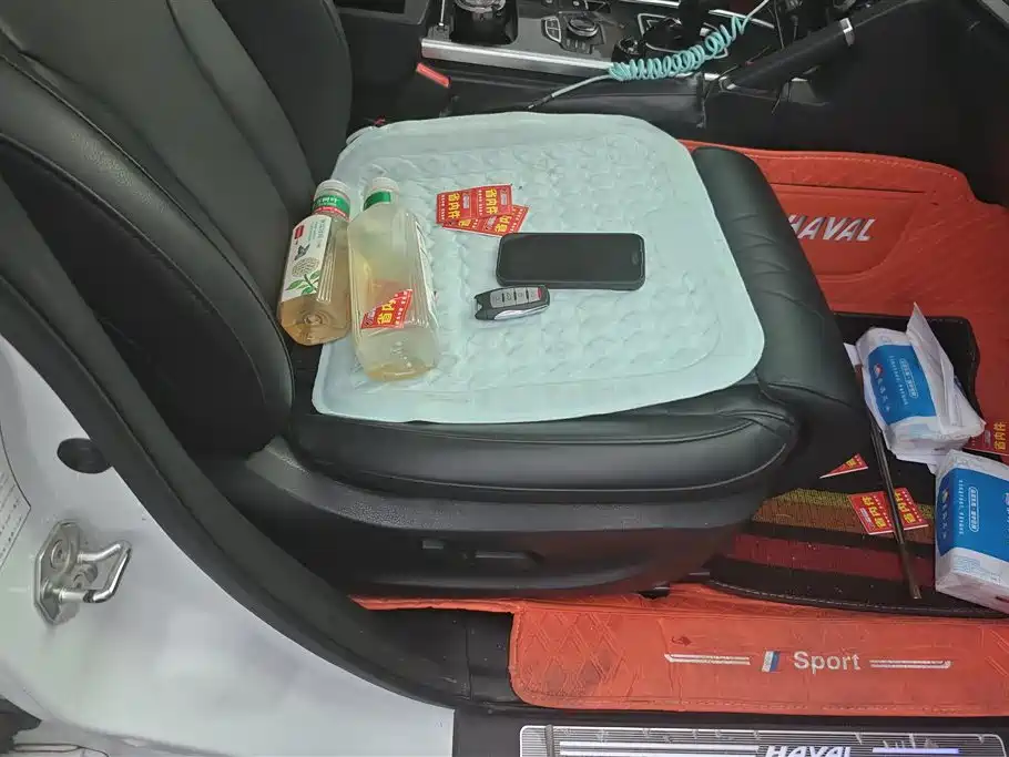 Haval H6 2018 Blue Label Sport 1.5T Automatic 2WD Premium фото 8