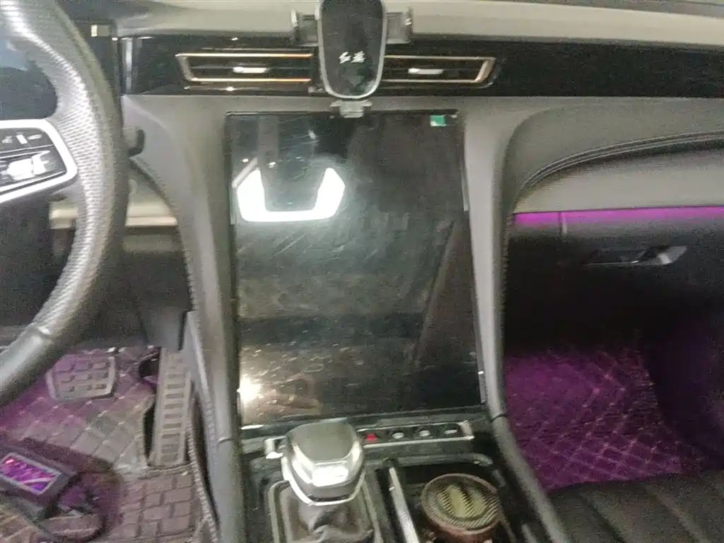 Hongqi H5 2024 2.0T Automatic Smart Connect Flag Smooth Edition фото 13