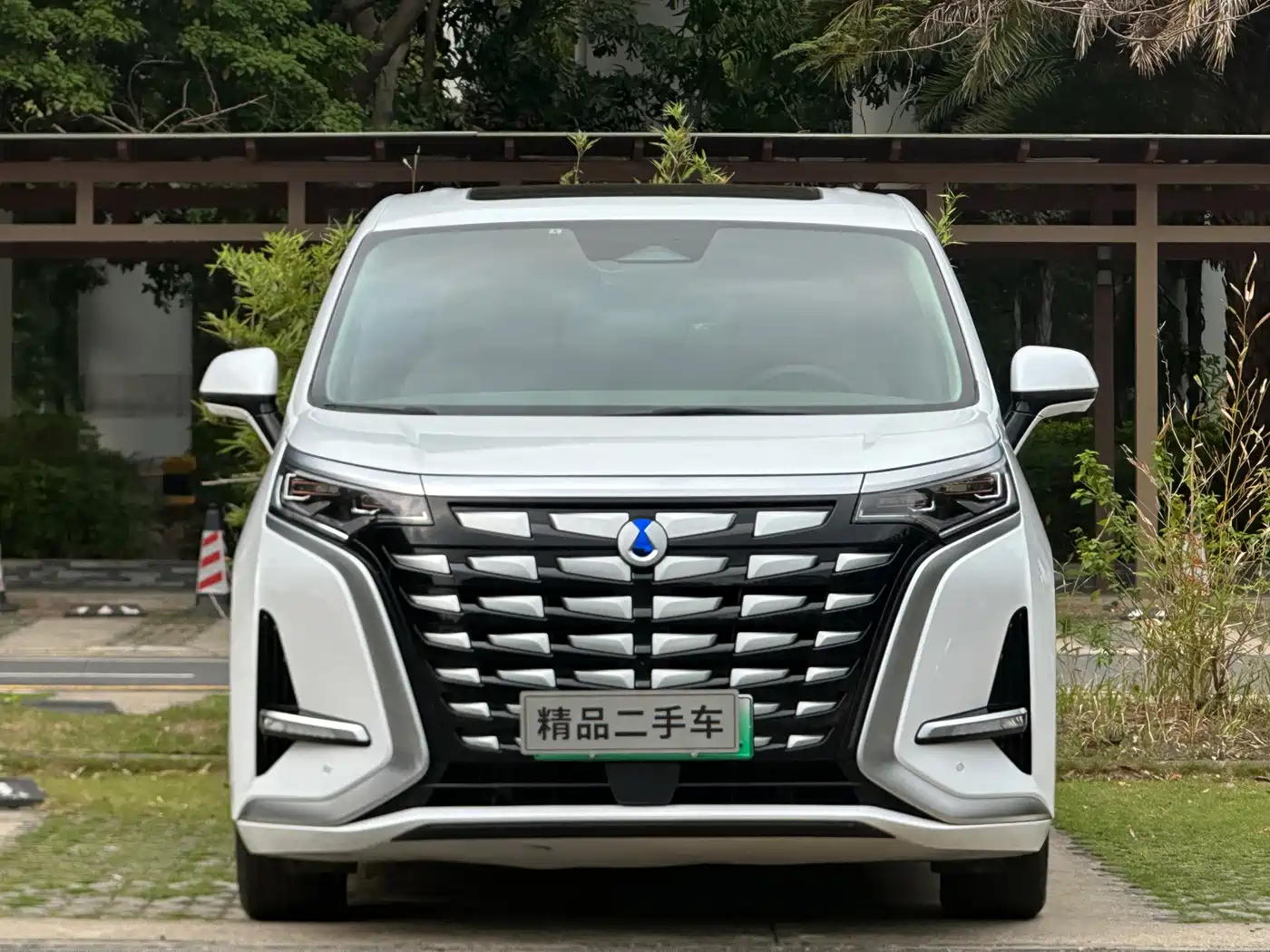 Denza D9 2022 DM-i 970 All-Wheel Drive Honor Edition фото 2